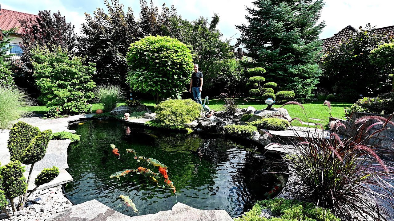 Modern Koi Blog #4711 - Bernds Genesis Teich mit optisch sensationell schönem Wasser