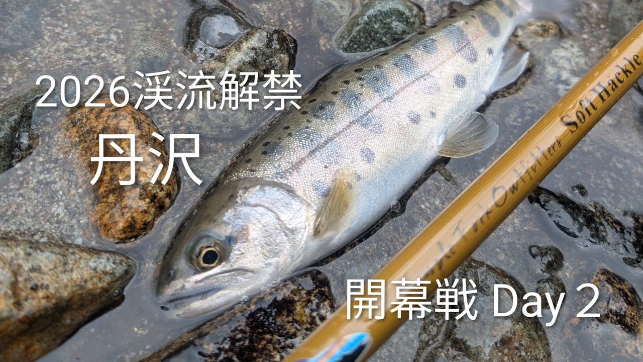 2026渓流解禁 開幕戦 Day２