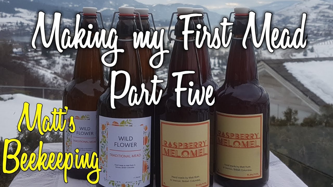 Making my First Mead - Part Five - Matt's Vlog #54