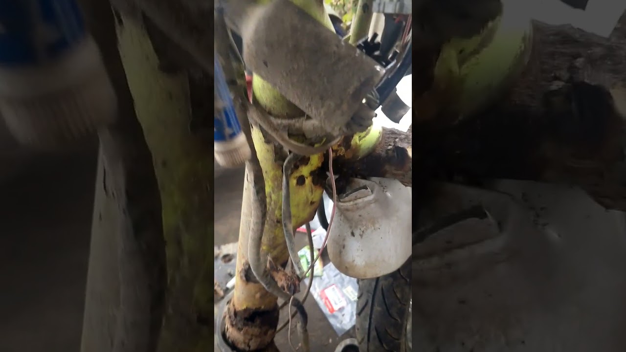 PENYEBAB ECU MATI TOTAL..SIMAK VIDEO NYA 