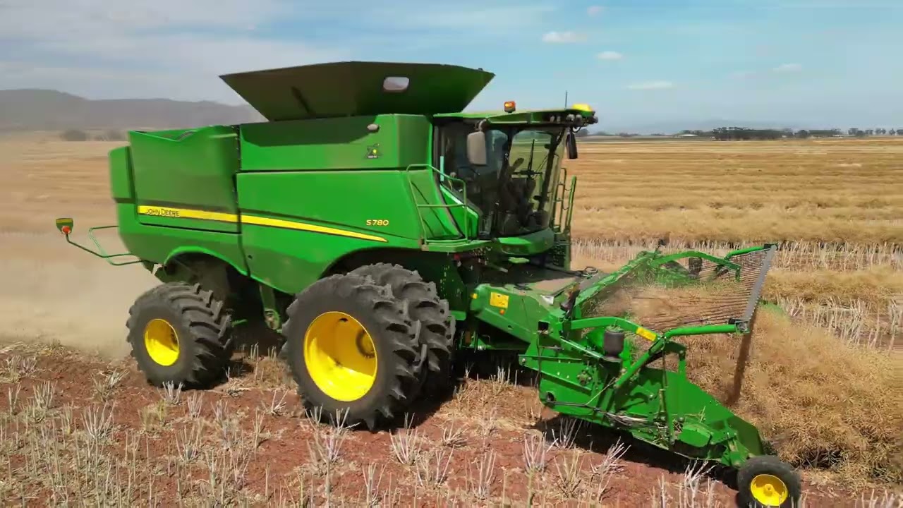 Canola word geoes - Saamstaan Boerdery - Malmesbury