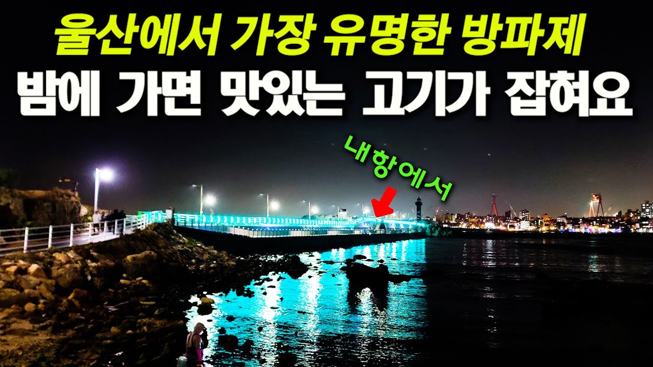 밤이 되면 나타나는 맛있는 녀석들!! / 울산 방파제 낚시 (박선비tv)