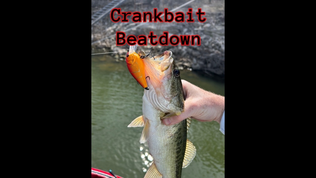 Couldn’t  keep the fish off the red crank bait. Fishing on my birthday.