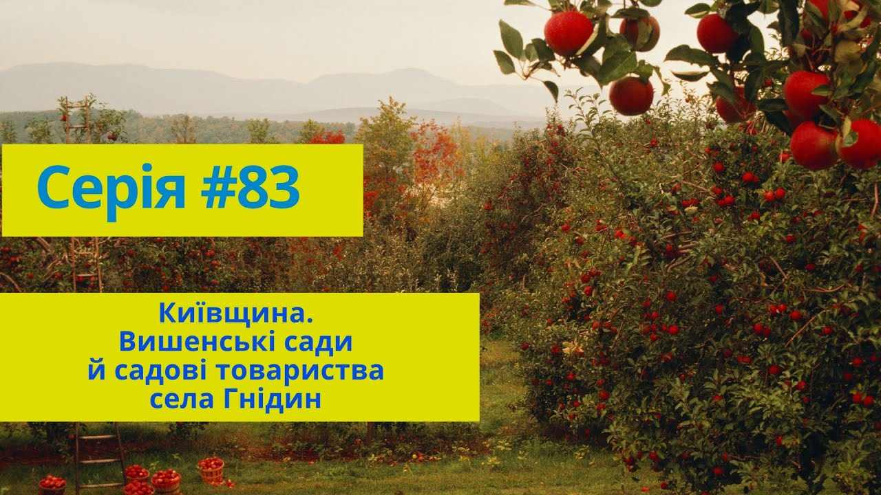 Серія #83 Київщина. Вишенські сади й садові товариства села Гнідин