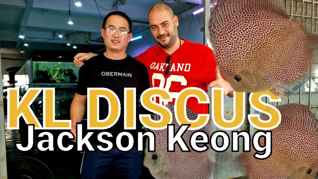 KL DISCUS | Jackson Keong