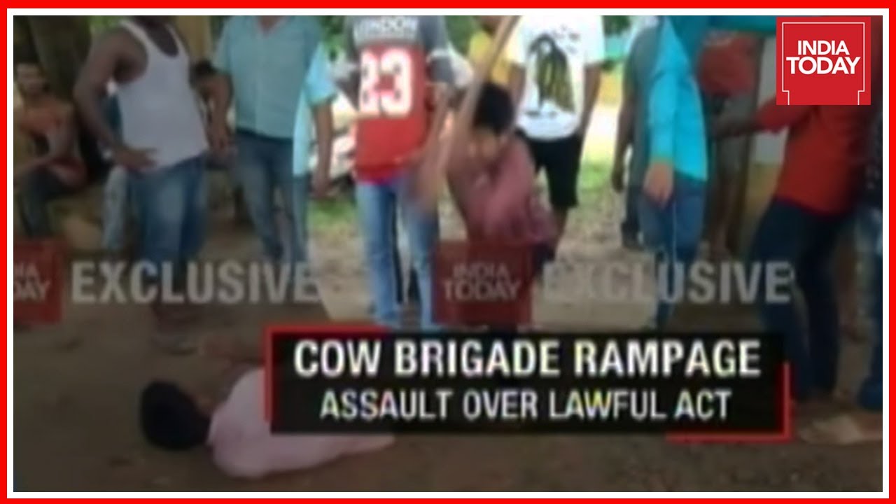 Cow Vigilante Rampage Continues Even After Prime Minister Modi's Warnings