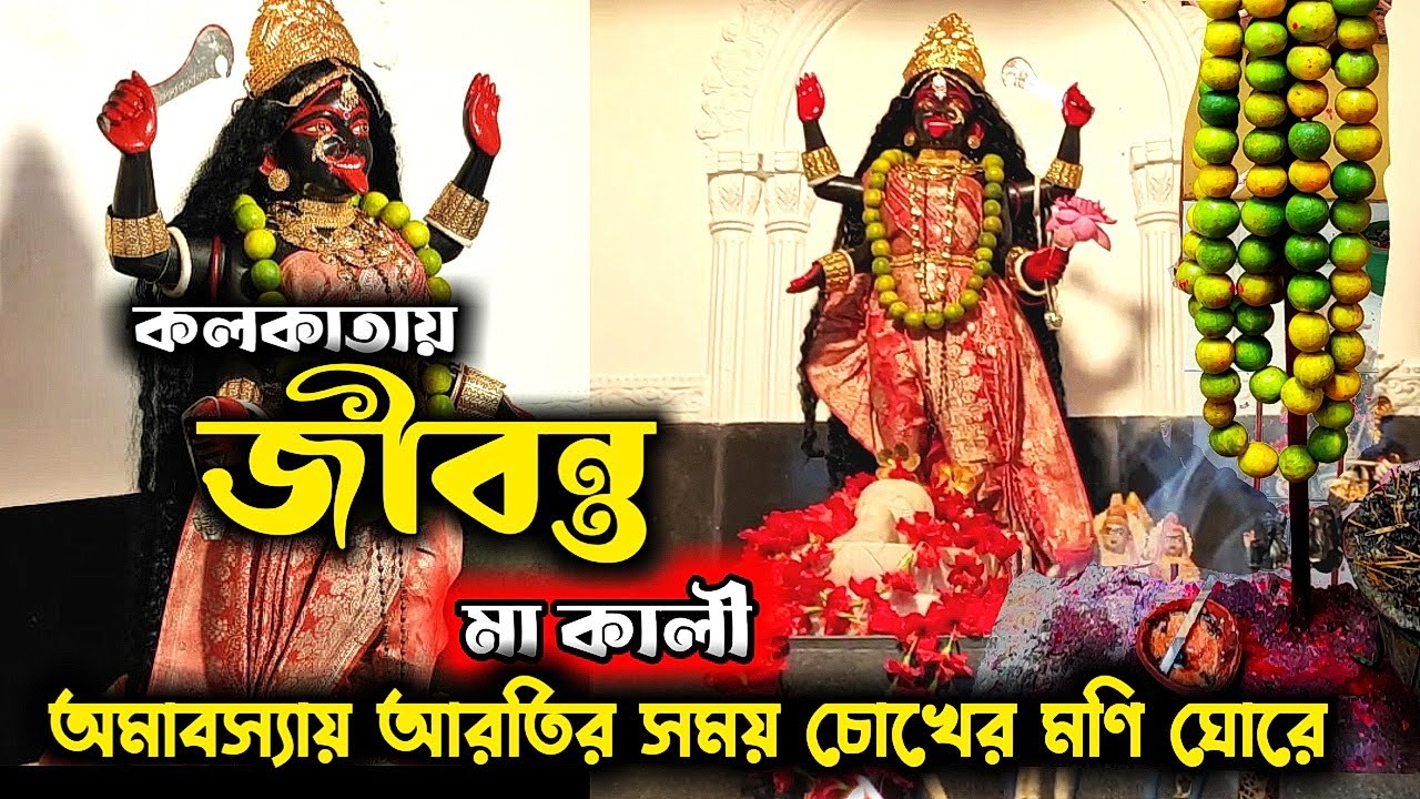 অলৌকিক ঘটনা ও কলকাতার জীবন্ত শ্যামসুন্দরী কালী | Shamsundari Debi Kali Mandir | Kali Temple Kolkata