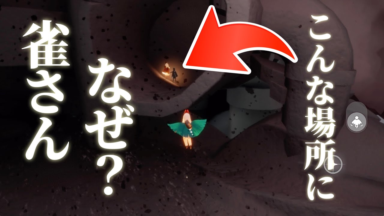【暴風域】初心者さんが初心者さんをキャリーする姿に胸を打たれた【Sky星を紡ぐ子どもたち】