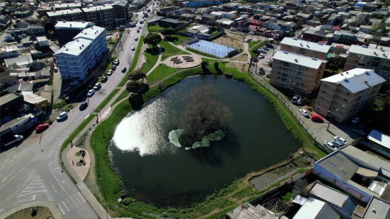 Humedal artificial es usado para descontaminaci&oacute;n de lagunas en Concepci&oacute;n