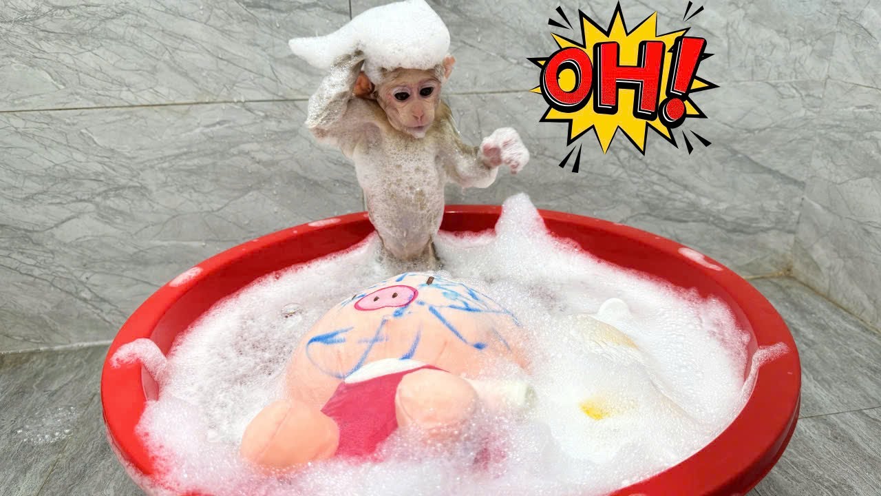 What did monkey Kyo do after mischievously drawing all over the teddy bear?