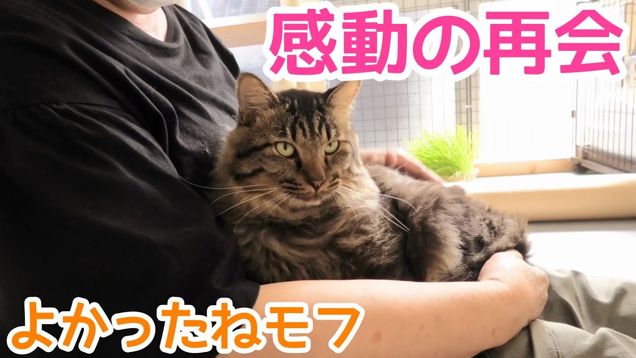 [Emotional reunion] A special guest came to visit Mofu!