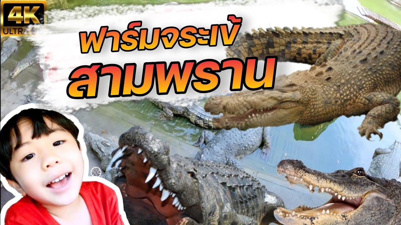 พาลูกเที่ยว@ฟาร์มจระเข้สามพราน 2024 สามพรานนครปฐม ครบทุกโซน 4K