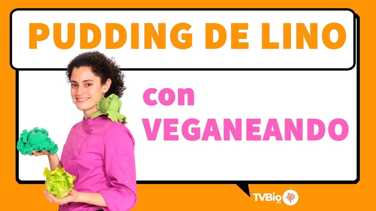 PUDIN de LINO - Recetas con SEMILLAS DE LINO | Desayuno saludable