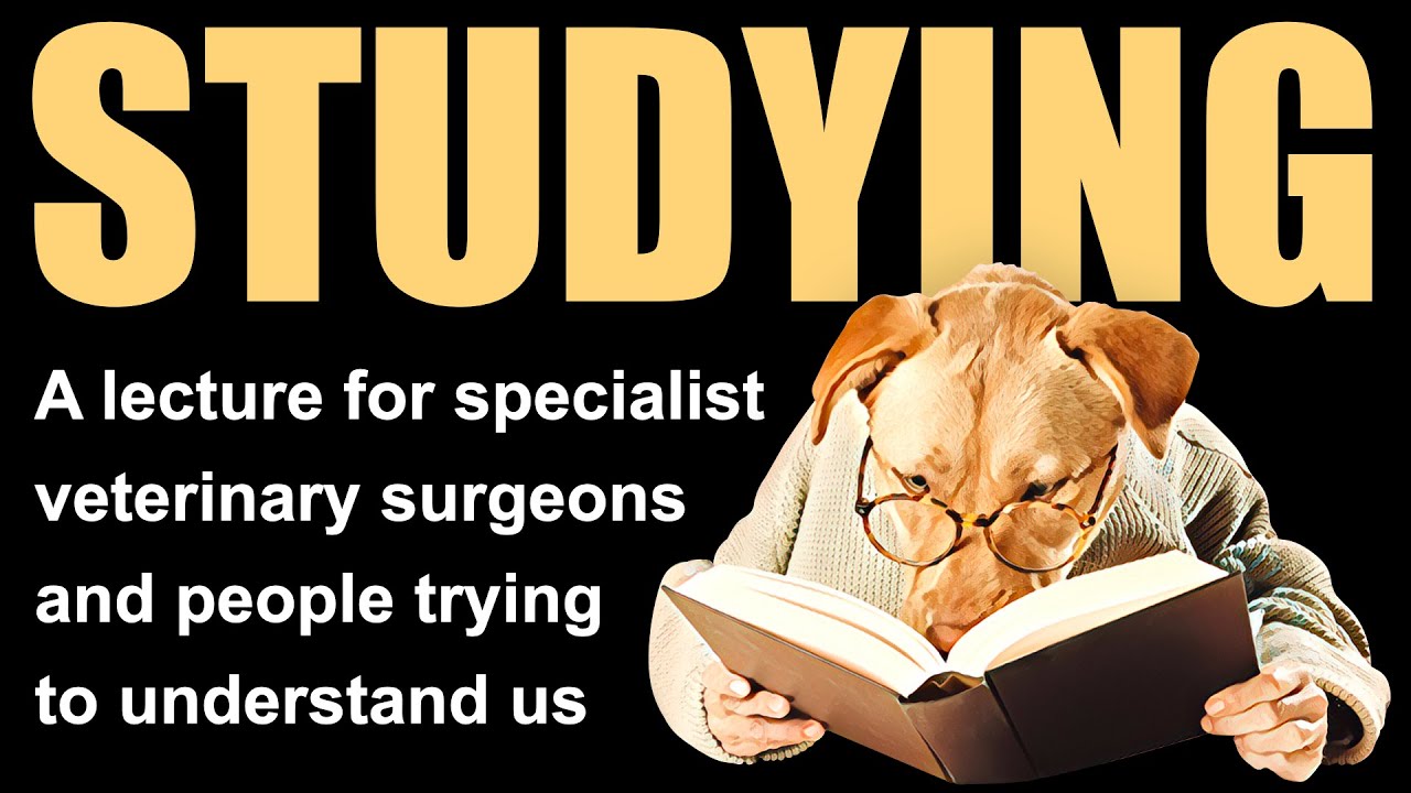 A Veterinary Specialist's Guide to Studying