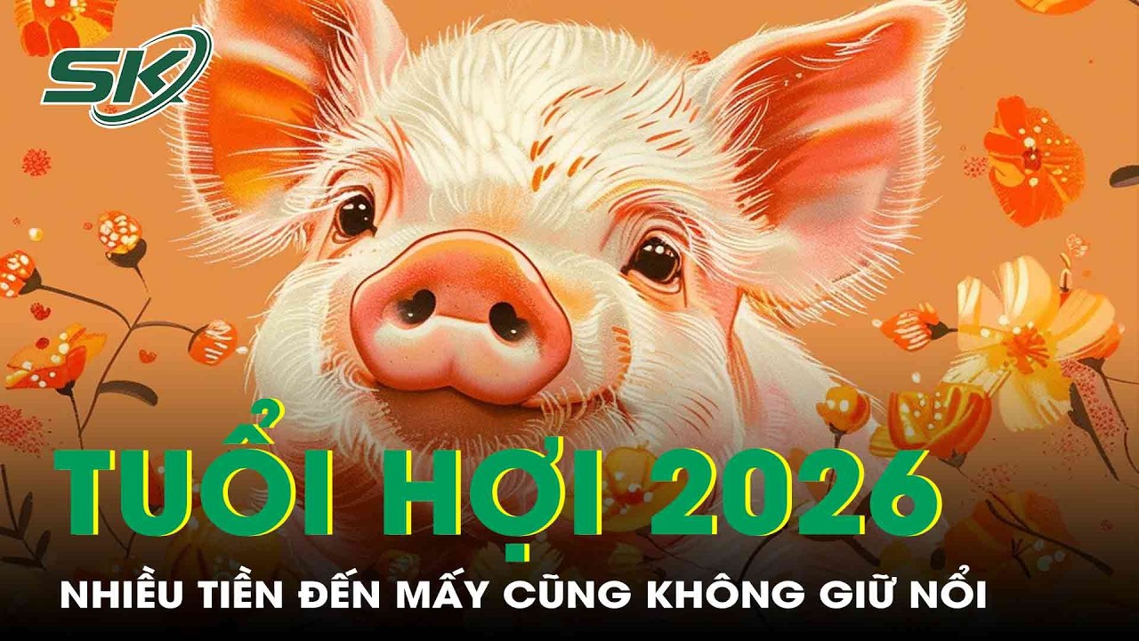 Tử vi tuổi Hợi 2026: Giữa hạn Tam Tai, nhiều tiền đến mấy cũng không giữ nổi | SKĐS