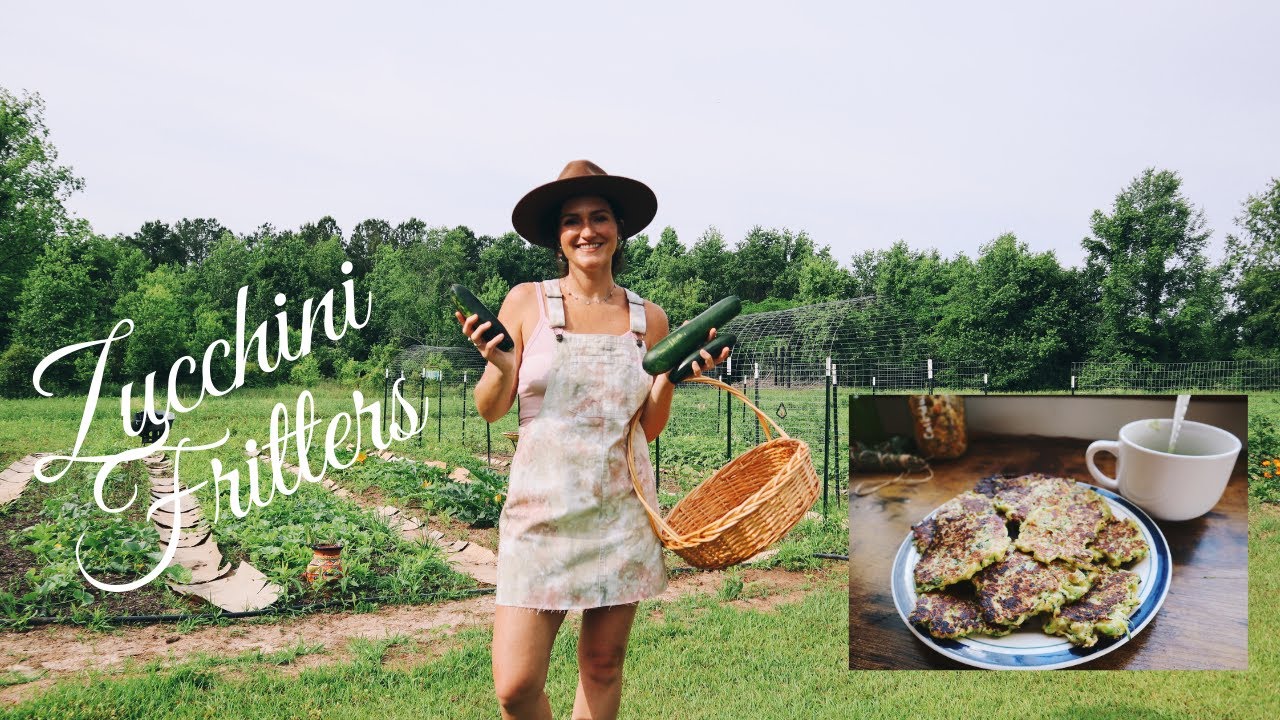 Growing Squash + Zucchini Fritters! | Garden Recipes| North Florida Gardening