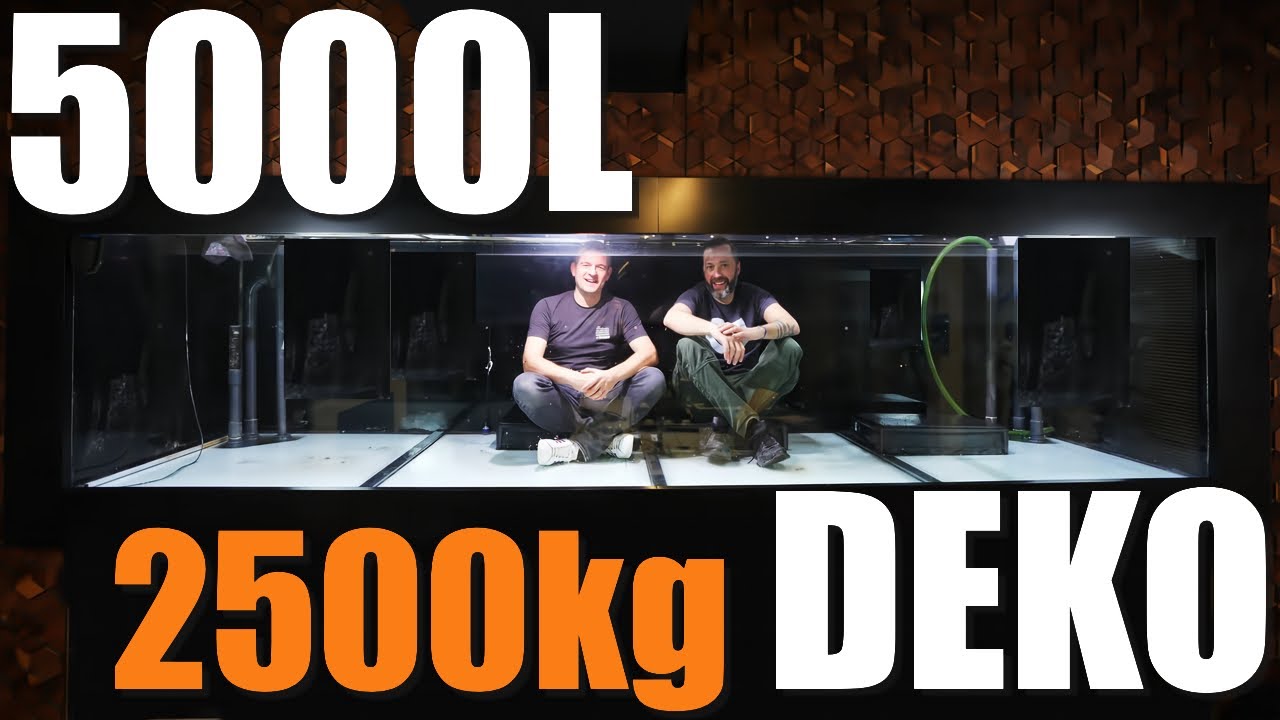 400x120x100cm Süßwasseraquarium bei @Kölle Zoo Hardscape auspacken, selektieren und anpassen!!!