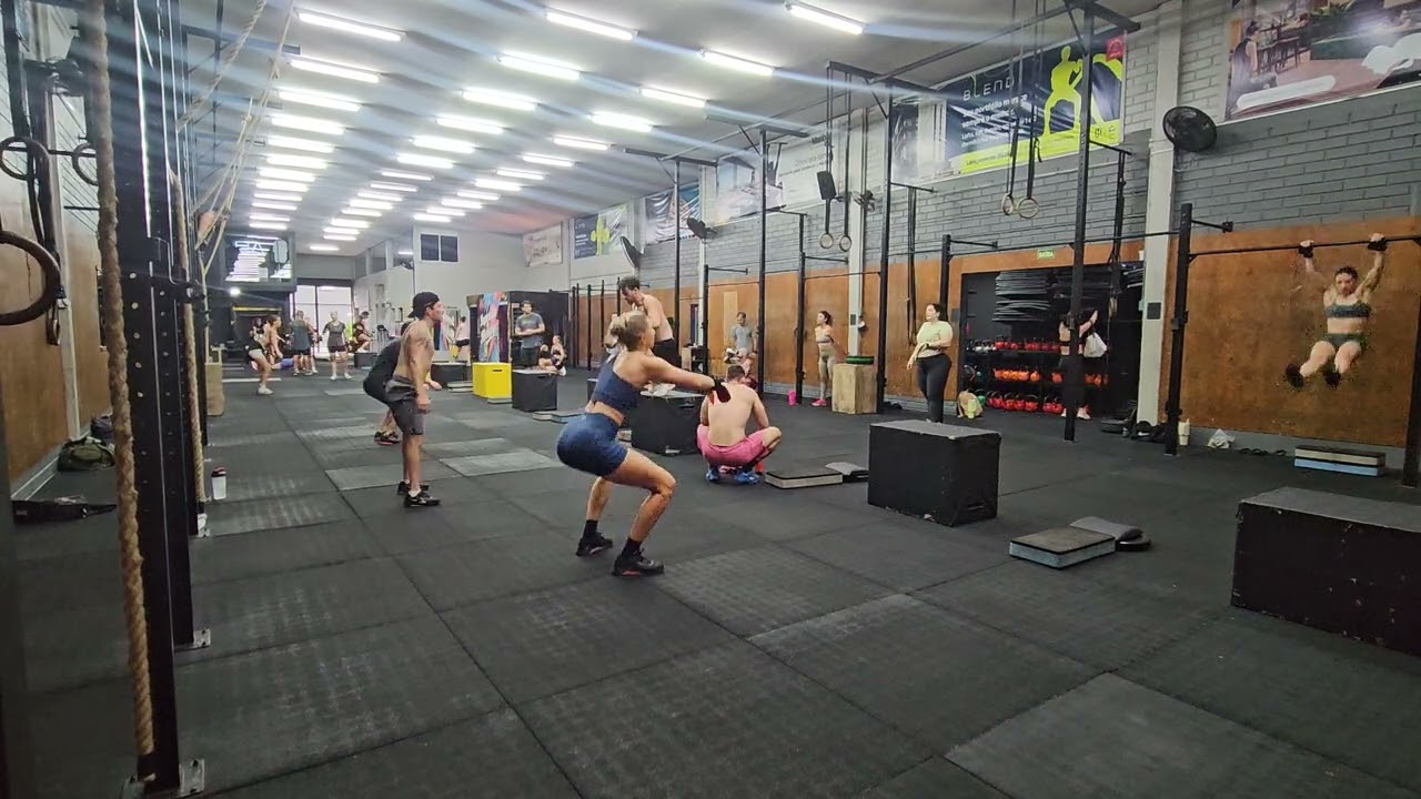 Treino 03/02/2026
