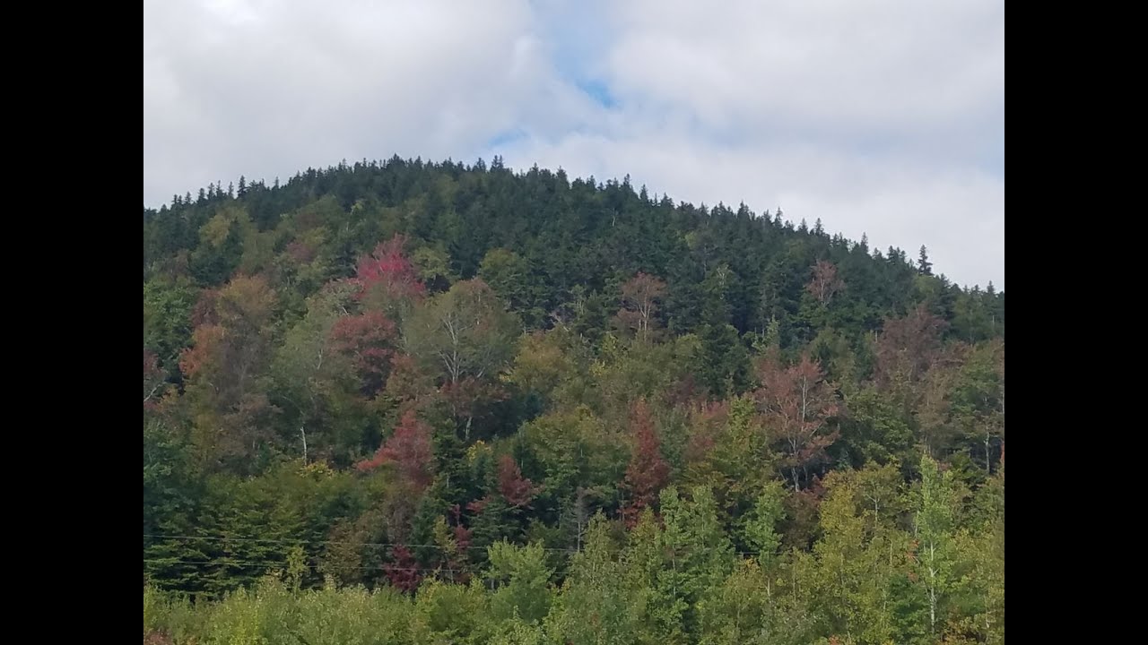 The Flume Gorge, Franconia Notch State Park
