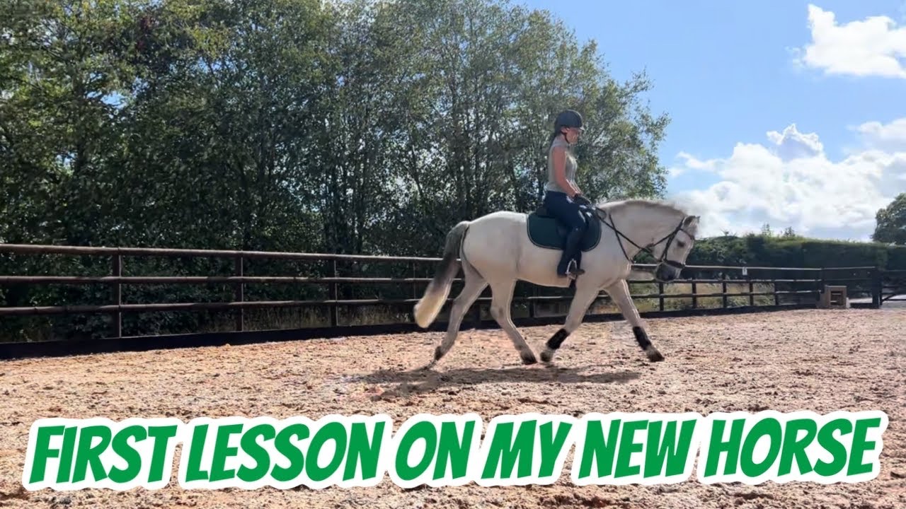 DRESSAGE LESSON ON THE NEW BOY! 