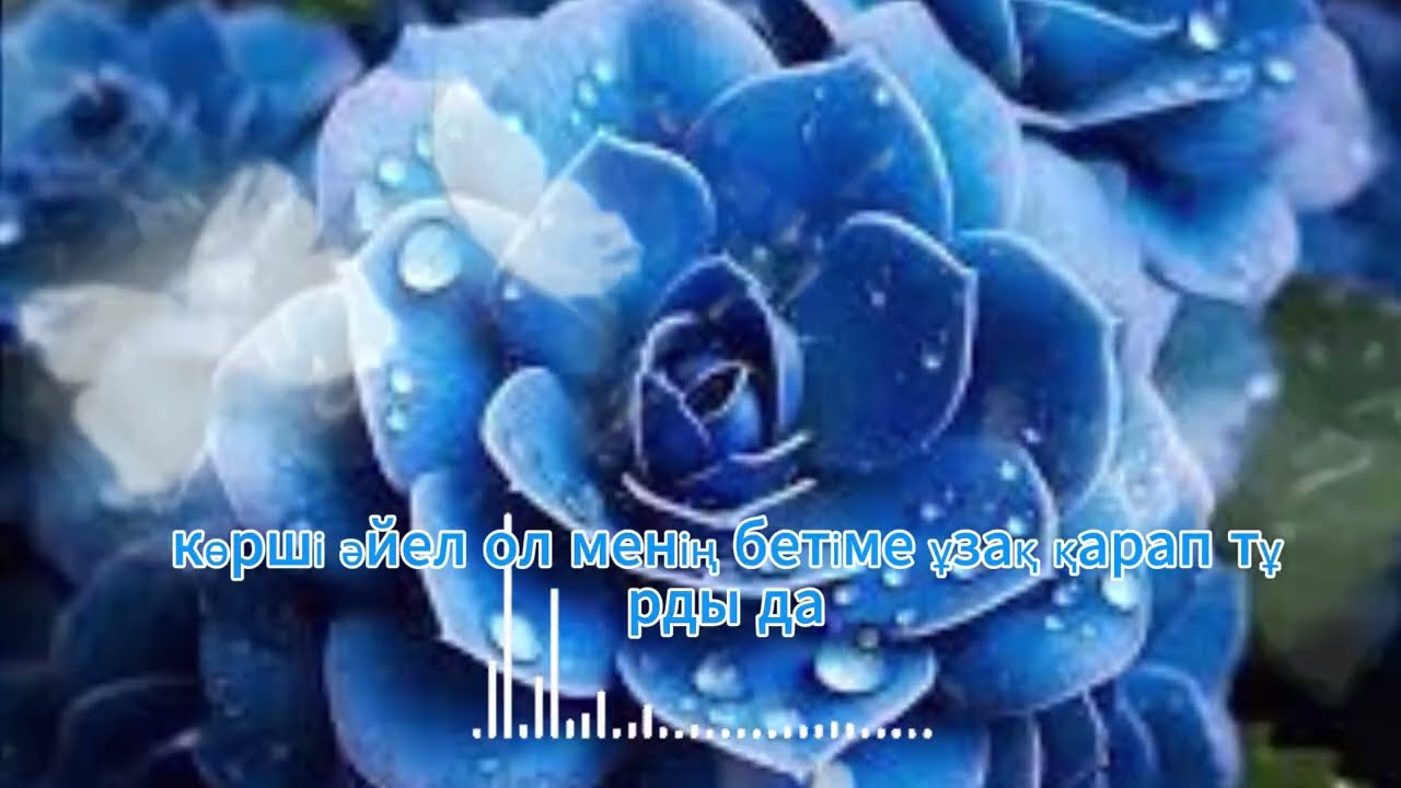 Қайын ағамның қаталдығы жанымды жаралады…