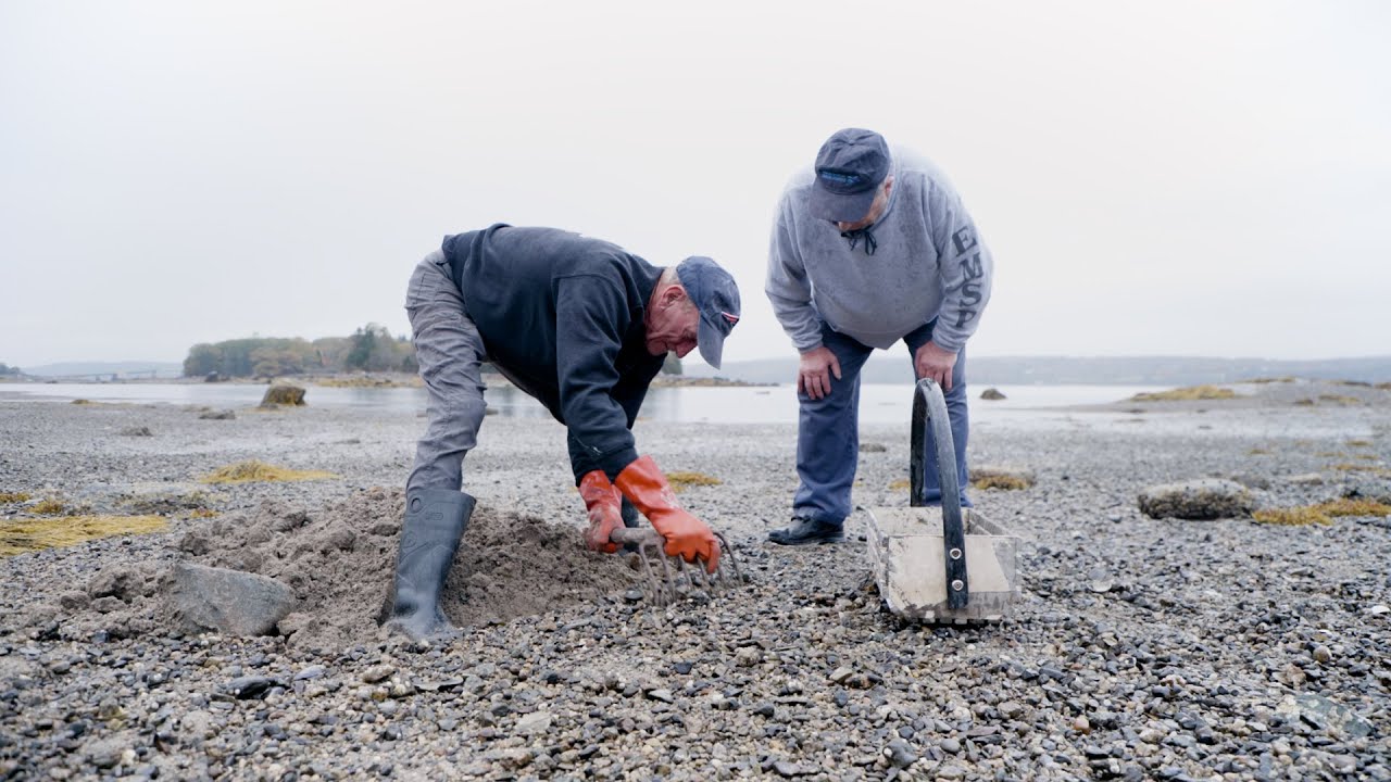 Ask Leroy! Ep. 24 | Leroy Goes Clamming