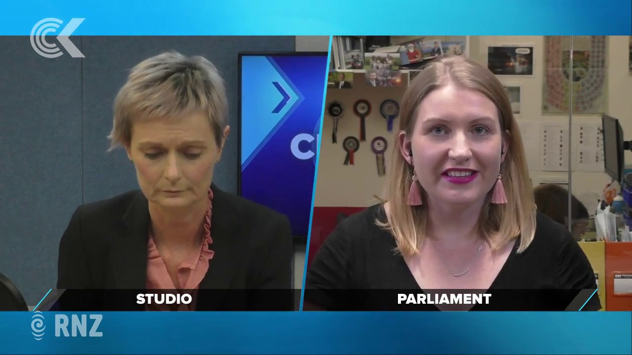 Another political poll bad news for National and Bridges