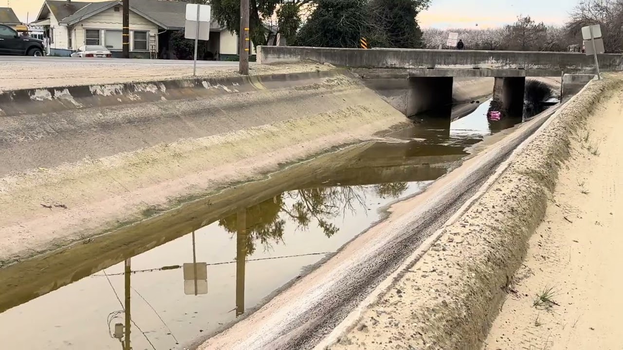 Que bonitas se ven las parcelas con los árboles de almendra floreciendo!!🌳