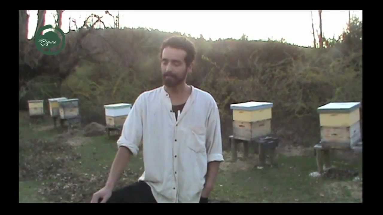 Instalación de Apiario en Apicultura Natural (parte 2 de 2)