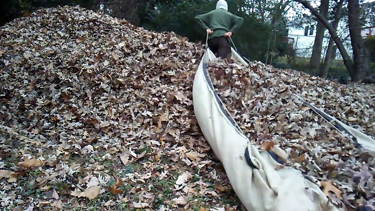 Leaf removal with a rake and tarp