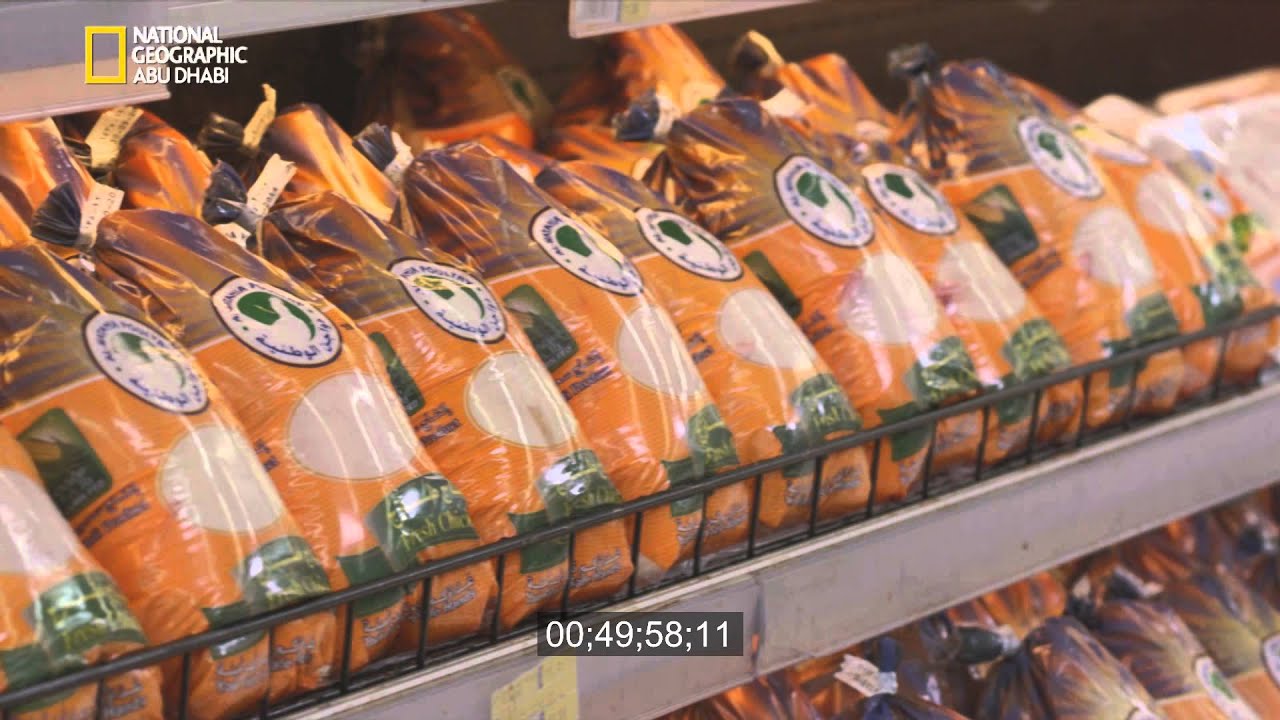 دواجن الوطنية 2