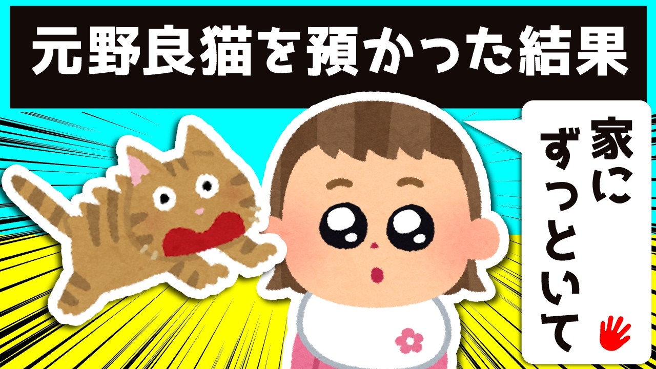 元野良猫を預かることになった結果が可愛すぎる…ｗｗｗ