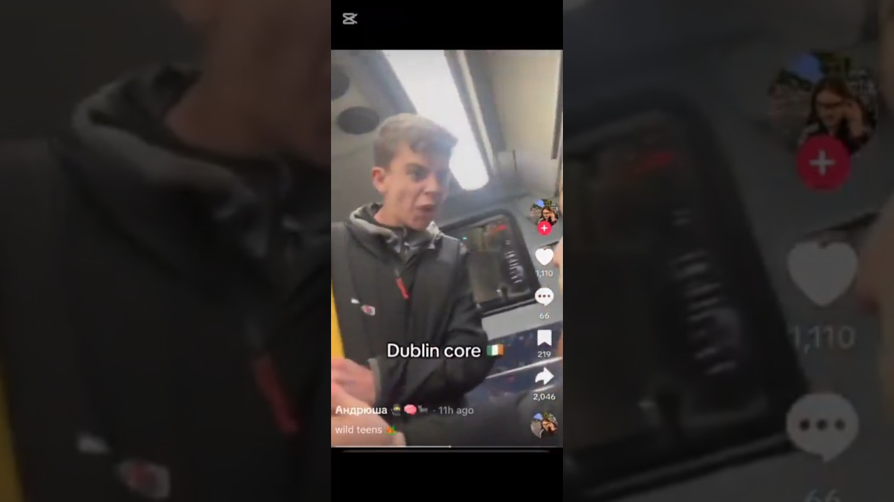 Teen threatens man with screw driver on bus.. Thoughts? 🤔 #Ireland #Banter #Irish #Dublin #Funny