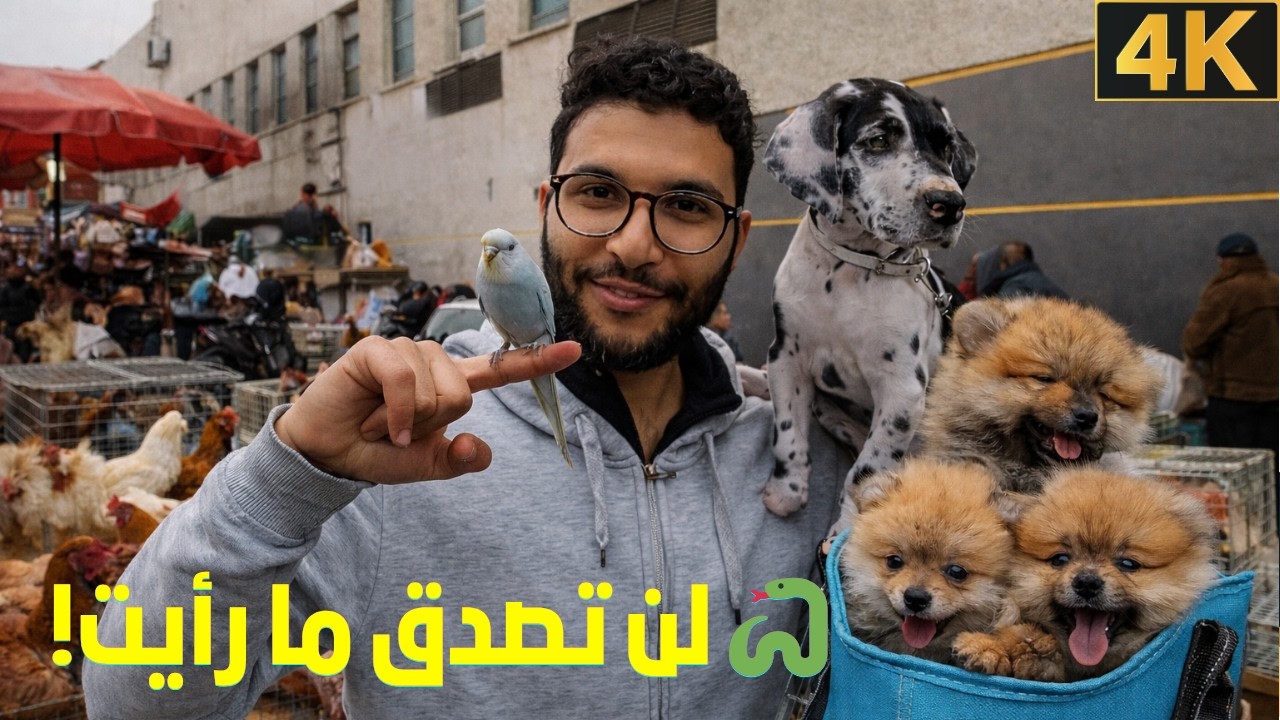😱 سوق المنصف باي تونس: أغرب سوق حيوانات شفتو في حياتي!