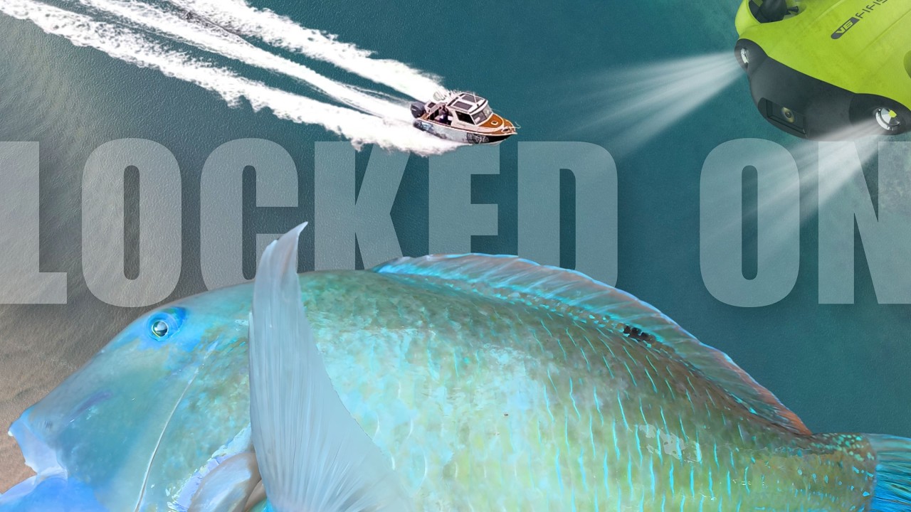 THESE FISH HIT LIKE A TRUCK | Bluebone Hunt