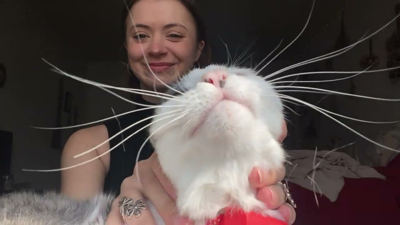 ASMR of my snorting cat