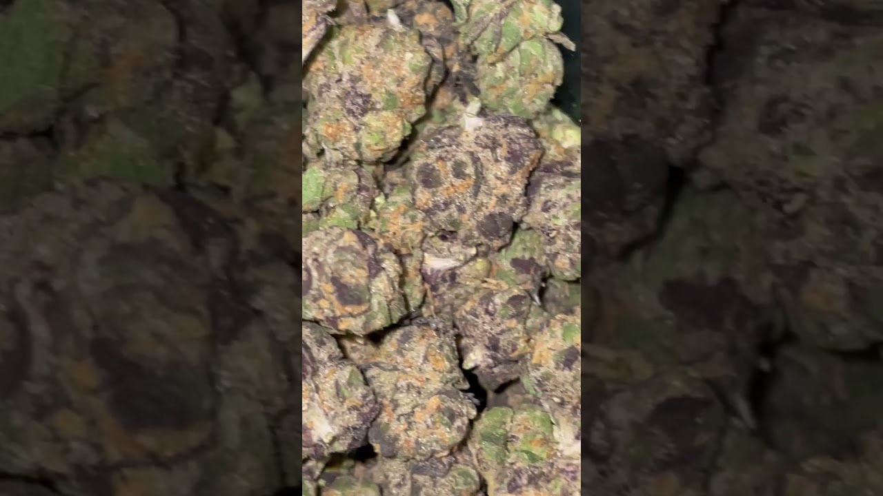 BLUE COFFEE STRAIN