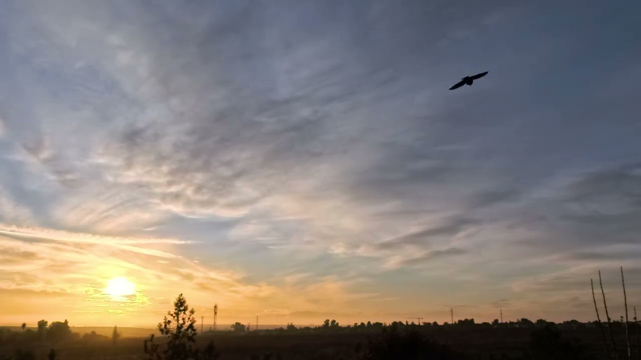 Amanecer 20 de Diciembre de 2025