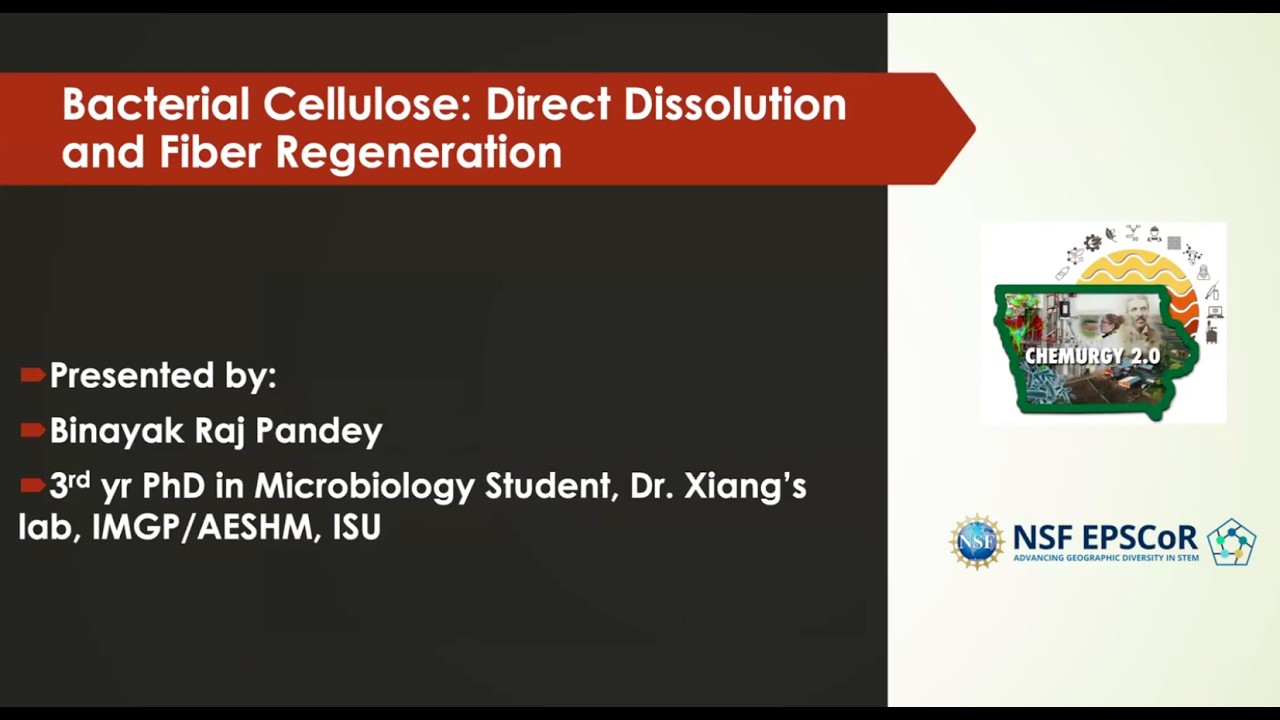 Bacterial Cellulose: Direct Dissolution and Fiber Regeneration w/ Binayak Raj Pandey