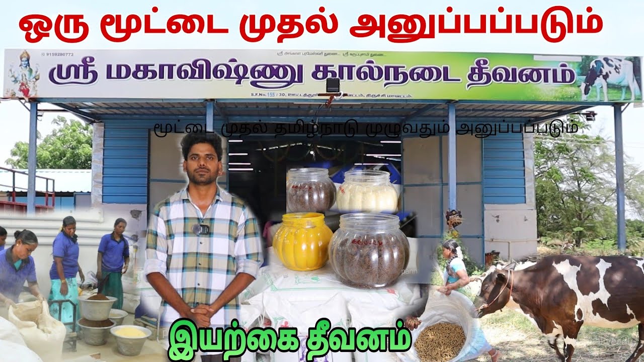 🔥இயற்கையான மாட்டுத்தீவனம் தமிழ்நாடு முழுவதும் 💢 ஒரு மூட்டை முதல் டெலிவரி #pannaiveedu #trichy #farm