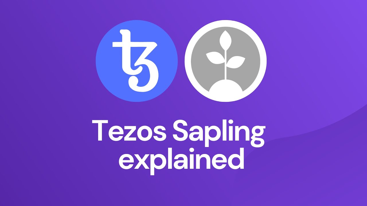 Tezos Sapling explained