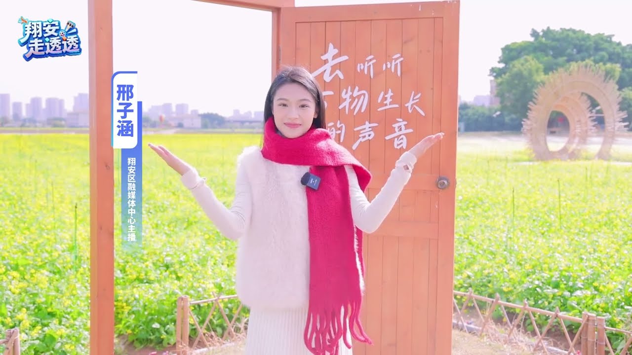 西岩山的金色春天，等你赴约！春节假期快带上家人朋友，一起来这片“金币”花海，开启一整年的好运气吧！#厦门 #翔安 #航拍 #旅行 #熱門 #中国农村生活 #油菜花 #打卡好去處 #赏花