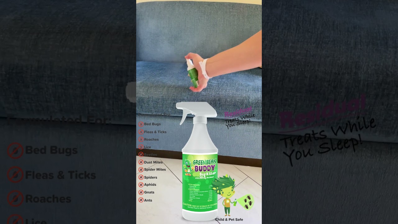 1-Time Residual Spray for Fleas In House