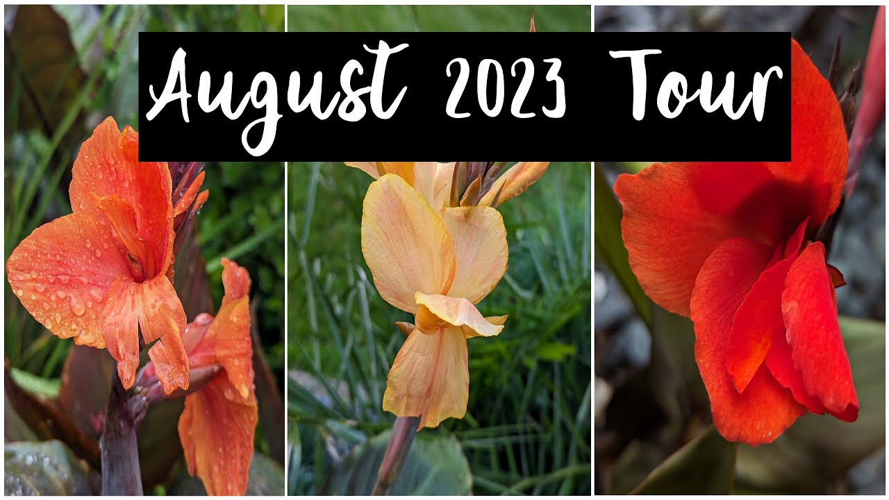 August 2023 is this my best garden tour video to date?