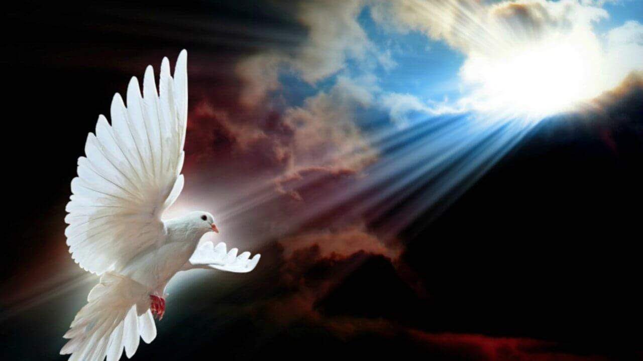 Credo Mexicano Patriarcal Eliasista - TEMPLO ESPIRITUALISTA TRINITARIO MARIANO DEL SEXTO SELLO