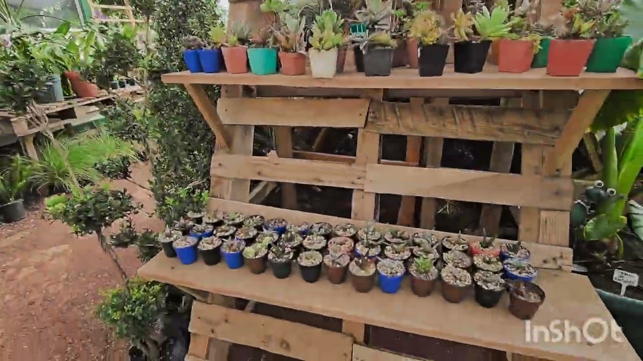 ASI ESTA LA FINCA EL CONEJO  EN SU REMODELACION