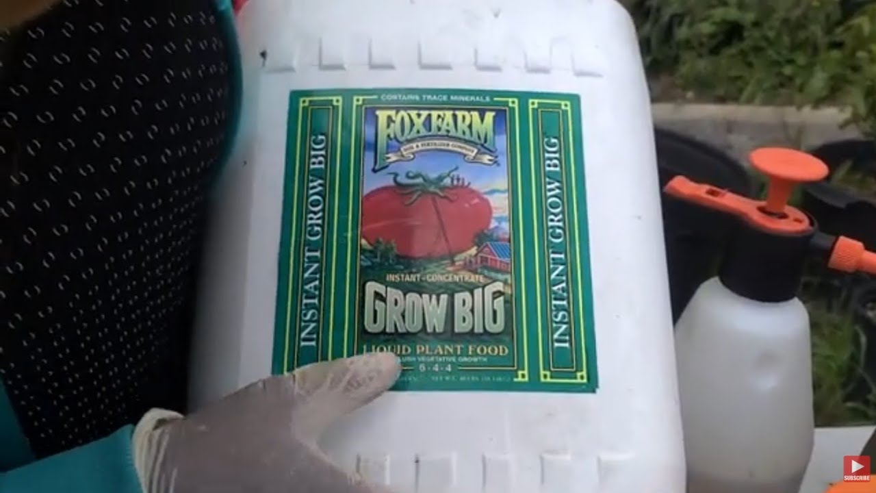 Foxfarm Grow Big Fertilizer | For Plants Vegetative Stage