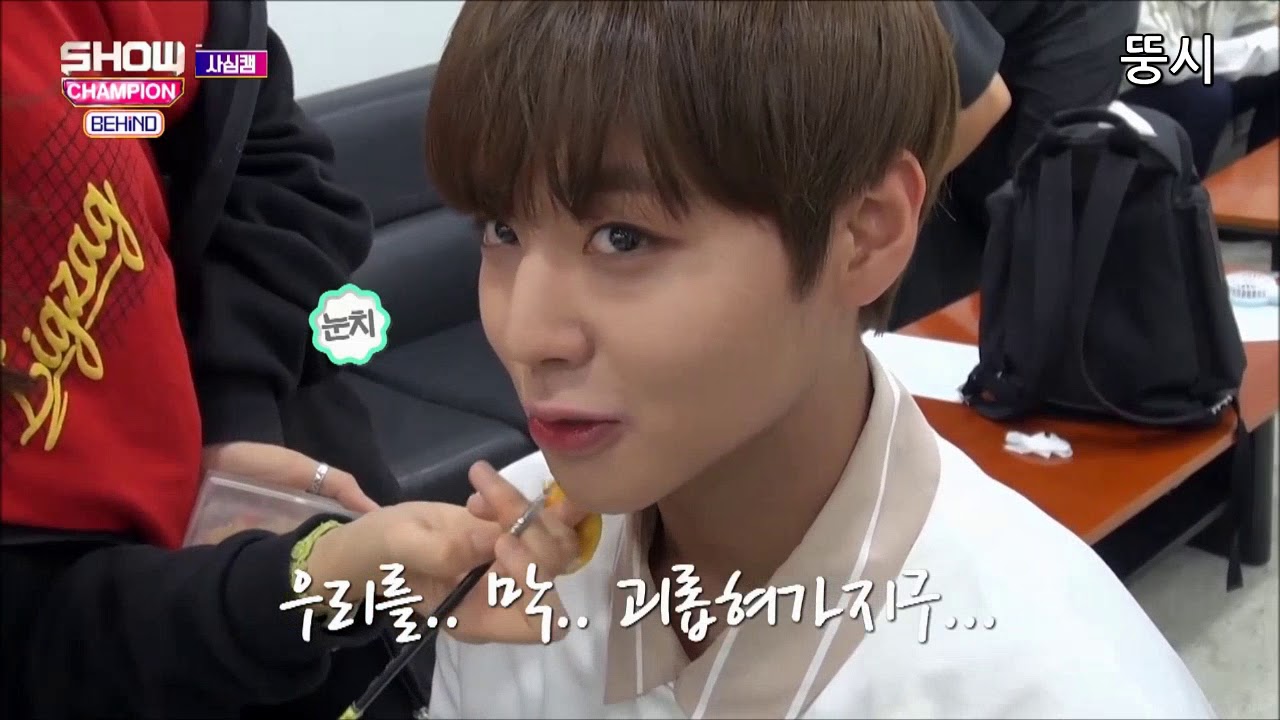 박지훈 말투 모음 [ 사투리.ver ]
