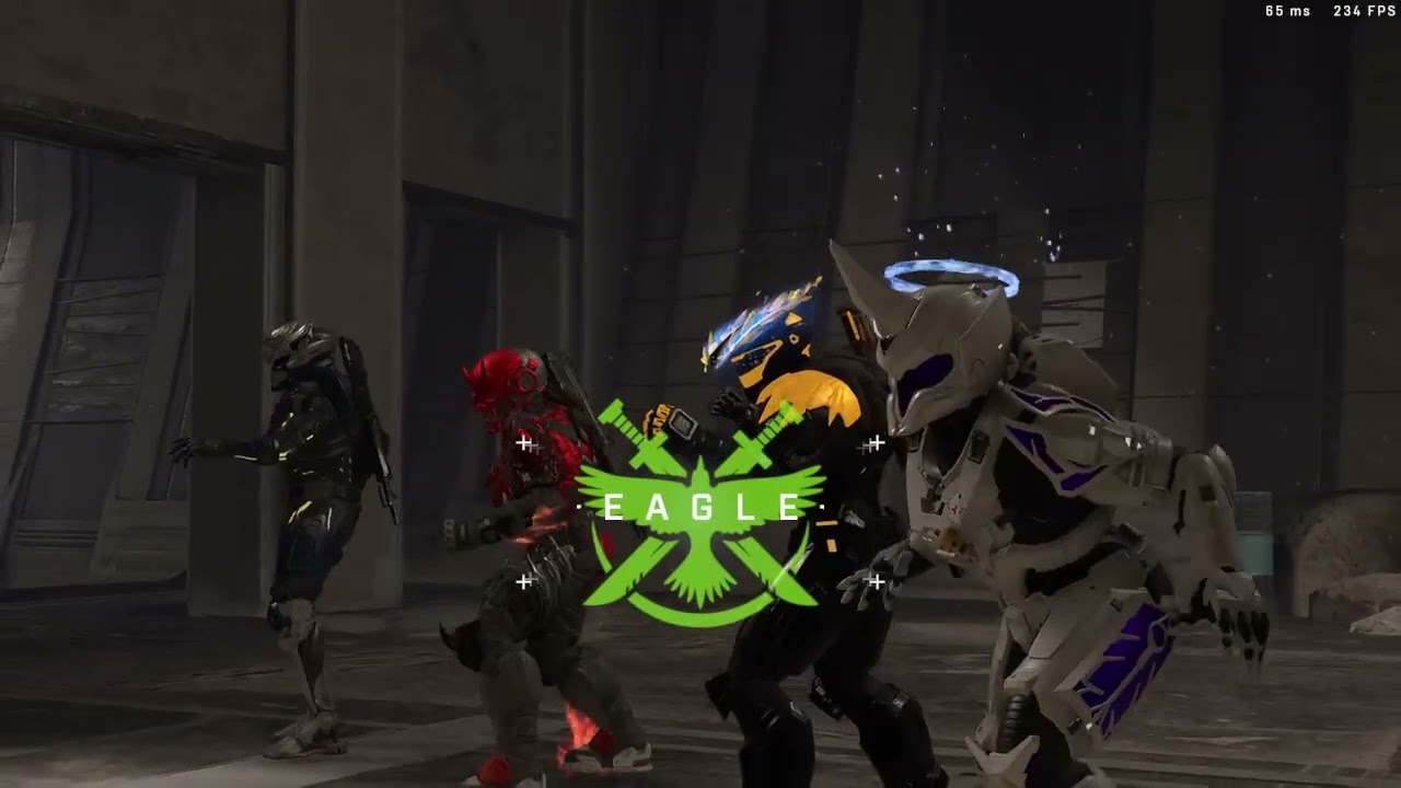 halo vibes