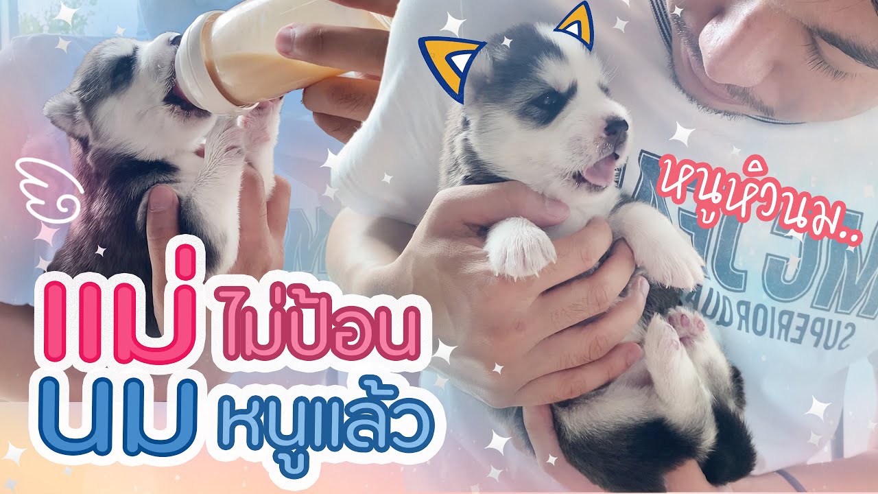 ห้าวตั้งแต่เด็ก ยืนเก๊กตั้งแต่อยู่ในท้อง